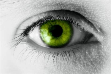 The Green Eyed Monster Jealousy