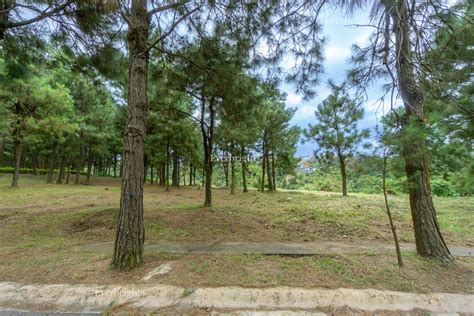 Crosswinds Resort Suites Residential Lot For Sale Property For Sale Lot On Carousell
