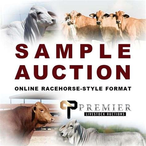 Sample Online Auction Premier Livestock Auctions