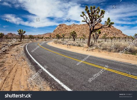 Desert Road Joshua Tree National Park Stock Photo 73728817 Shutterstock