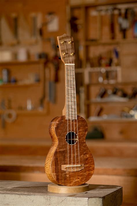 Special Model Ukuleles — Beansprout Musical Instruments