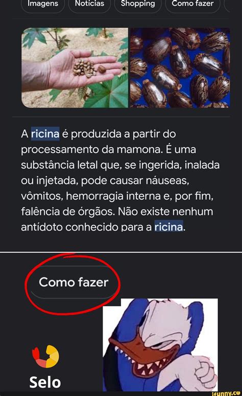 A Ricina Substância Tóxica Extraída Da Mamona