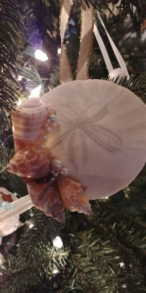 Shop target for indoor christmas decorations for festive style at the perfect price. Sand dollar with seashells 🌴 coastal Christmas Beach Decor