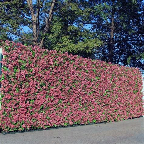 42 Beautiful Privacy Fence Ideas Inspirations In 2024