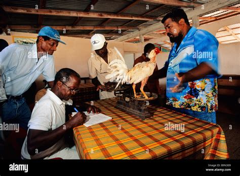 la france la guadeloupe french west indies l ile de marie galante une ville québécoise