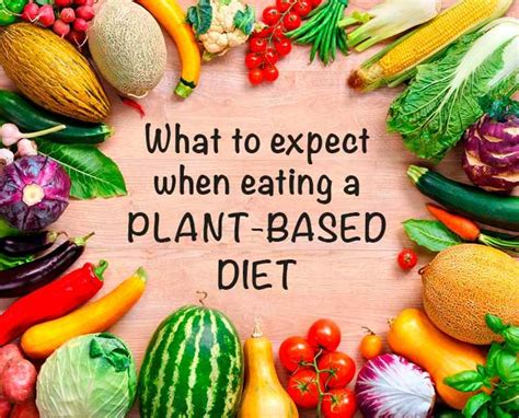 What To Expect When Eating A Plant Based Diet Plant Based Diet Plant