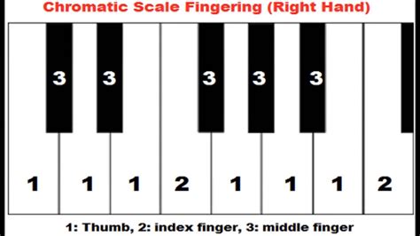 How to play scales on piano. How to Play Chromatic Scale on Piano. Left and Right Hand ...