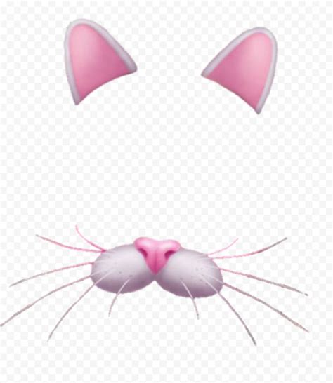 Snapchat Cat Cute Face Filter Ears And Nose Png Image Citypng