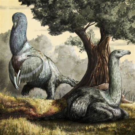 Therizinosaurus Cheloniformis Superpigeon Dinosaur Art Extinct