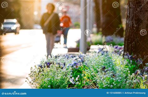 Spring Flowers Beside The Street In The City On Blurred People Walking