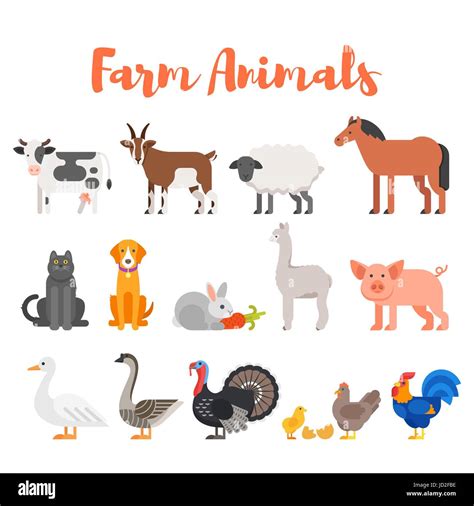 Vector Flat Style Set Of Farm Animals Icon For Web Isolated On Stock