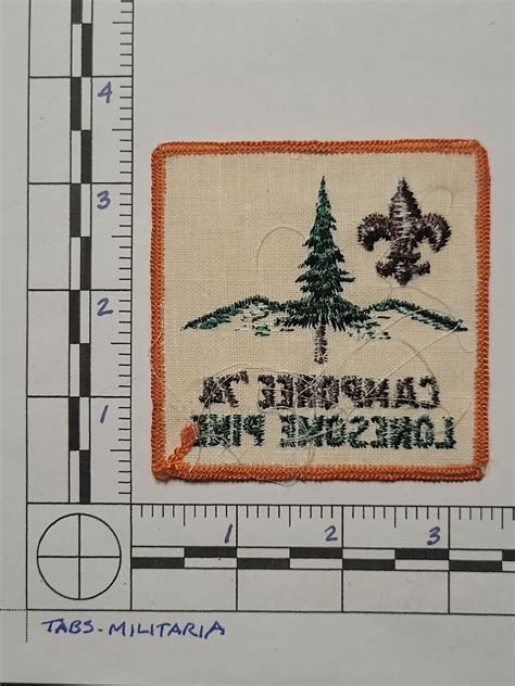 Original Bsa Boy Scouts Patch Lonesome Pine Camporee 1974 Bsa014 Ebay