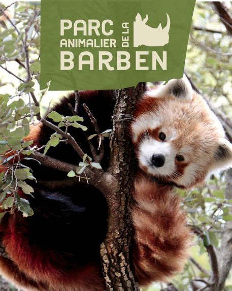Parc Animalier De La Barben Visite Libre