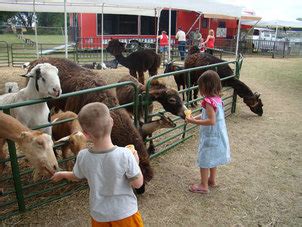 Plus they change the activities based on the season. Petting Zoos - B3 Entertainment Productions, Inc.
