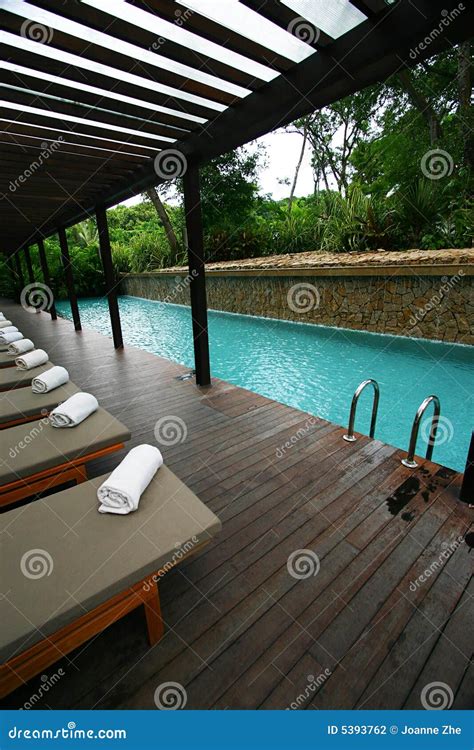 Resort Hotel Swimming Pool Tropical Landscaping Stock Photo Image Of