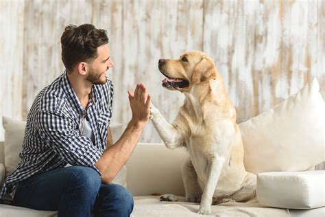 The Real Reason Why Dogs Are So Friendly And Love Everybody