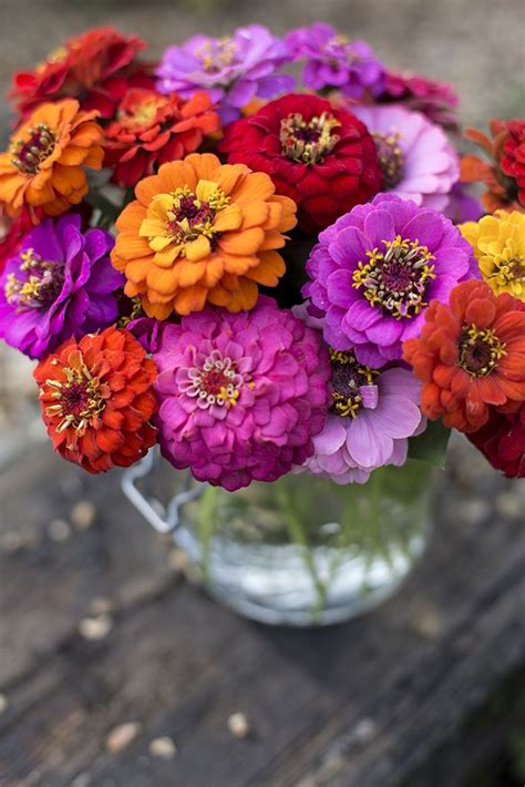 Maybe you would like to learn more about one of these? Pin on Cut flowers from seed