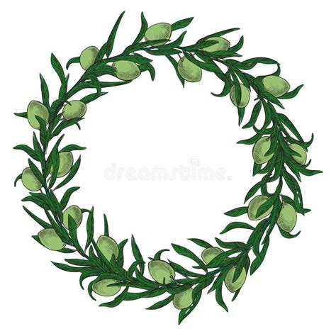 Olive Wreath Is Painted By Hand In Vintage Style Natural Product Stock