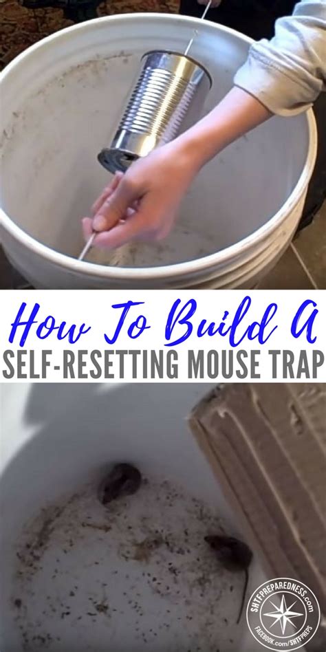 How to make ● a simple soda bottle humane mousetrap (that works!) this is another of my simple and easy to make homemade humane mouse trap made from normal household items. How To Build A Self-Resetting Mouse Trap