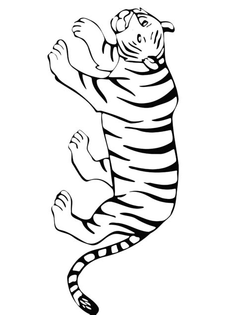 Tigre Facile Da Colorare Disegni Facili Disegni Idee Per Disegnare My