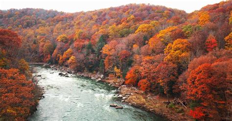 Pennsylvania Fall Foliage Backpacking In Ohiopyle Pa Usa