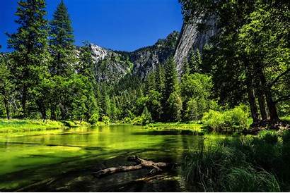 Yosemite National Park California Wallpapers Usa Trees