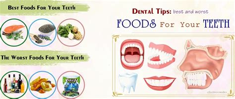 Dental Tips 11 Best And Worst Foods For Your Teeth
