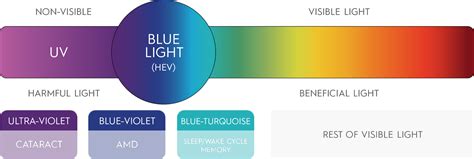 Blue Light And Its Dangerous Effects On Eye Health Moonspecs
