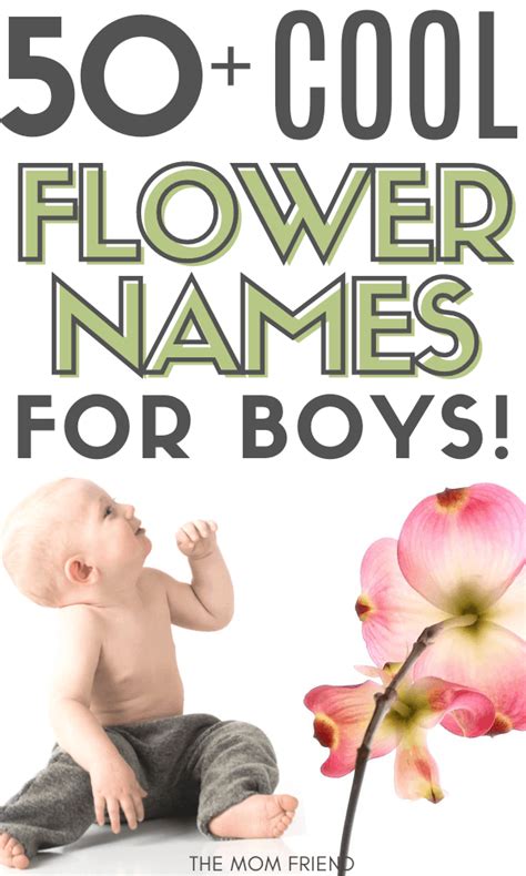 55 Unique And Cool Flower Names For Boys The Mom Friend