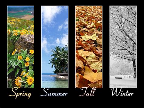 Winter Spring Summer Fall Wallpapers Wallpaper Cave