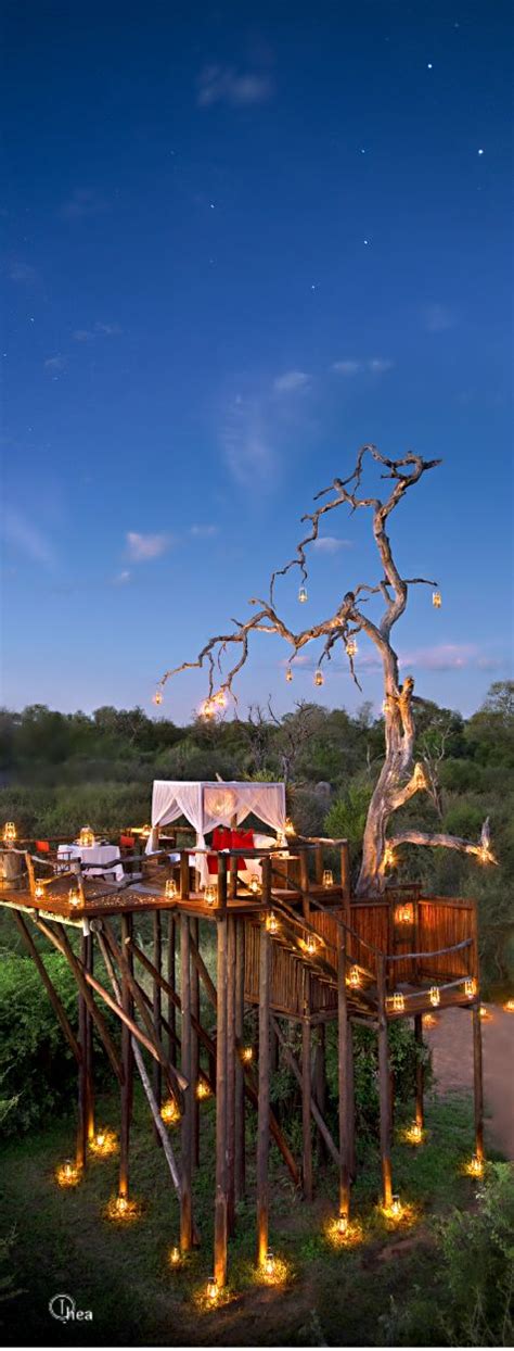 Lion sands game reserve treehouse. Chalkley Treehouse Lion Sands (With images) | Tree house ...