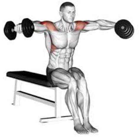 Seated Dumbbell Side Lateral Raises By Elizabeth Helmick Exercise How