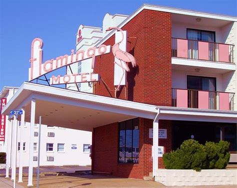 Flamingo Motel Ocean City Maryland Usa Ocean City Maryland Ocean