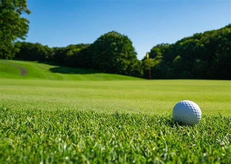 What Grass Is Used On Golf Courses Myhometurf