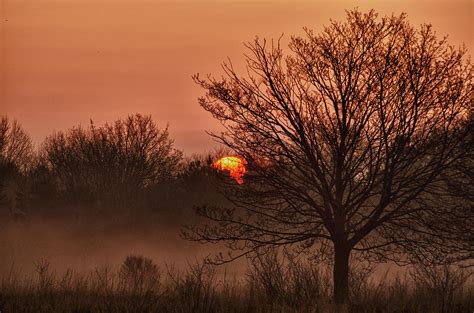 Foggy Sunrise By Todd Heckert