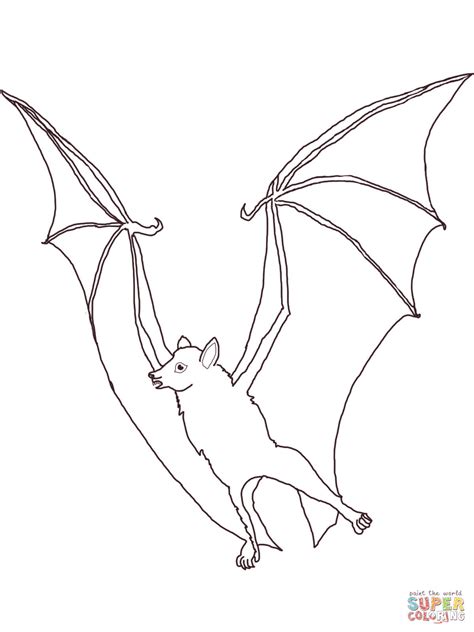 Megabat Flying Fox Coloring Page Free Printable Coloring Pages