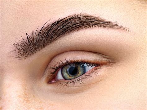 Grow Eyebrows 6 Tips For Perfect Brows