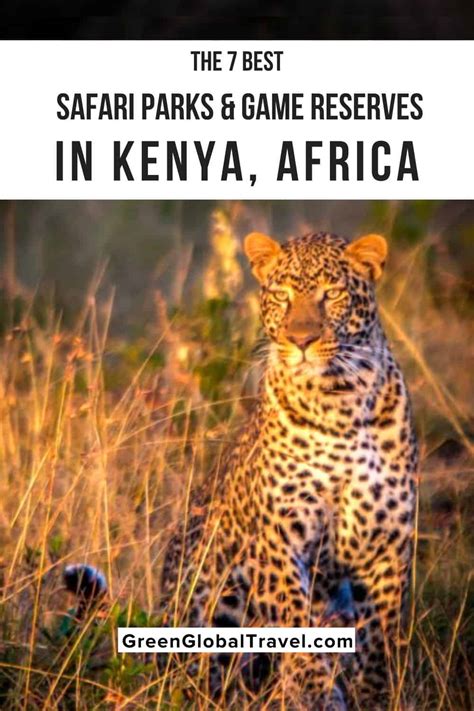 The 7 Best Safari Parks And Game Reserves In Kenya