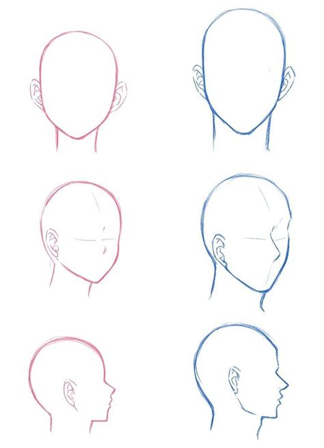 Female vs. Male Head Perspectives | Drawing | Manga | Art inspiration