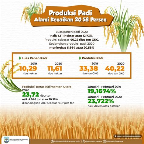 PRODUKSI PADI ALAMI KENAIKAN 20 58 PERSEN Dinas Komunikasi