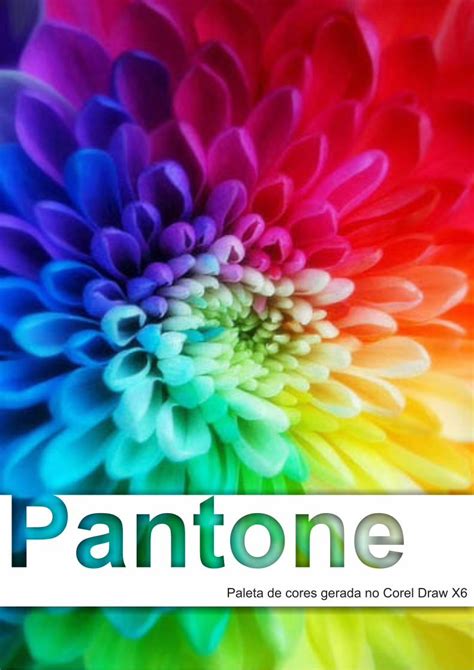 PDF Paleta De Cores Pantone By Corel X6 DOKUMEN TIPS