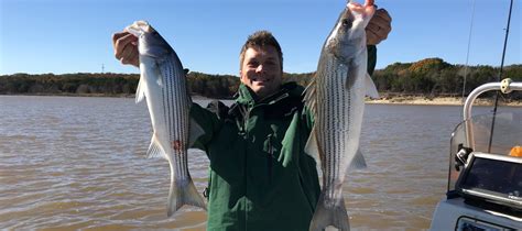 A Complete Guide To Striper Fishing Lake Texoma Fishing Spots
