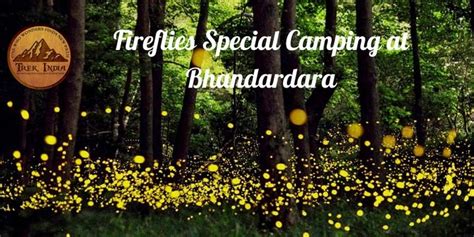 Bhandardara Fireflies Camping 2022 Trek India Adventure Tickets