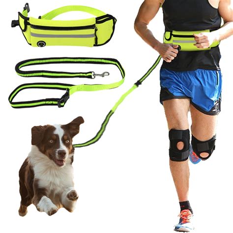 Pet Dog Elastic Belt Running Leash Set Hands Free Dog Leashes Collar
