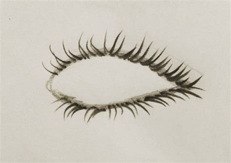 How To Draw Realistic Eyelashes Easy Step By Step Guide In Realistic Drawings