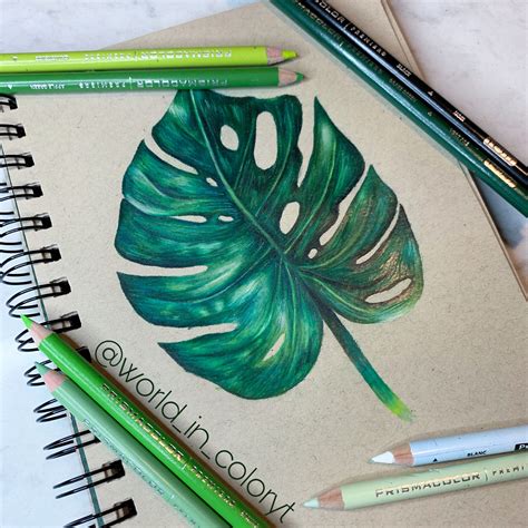 Leaf Drawing Colored Pencil Artwork Color Pencil Drawing Leaf Drawing