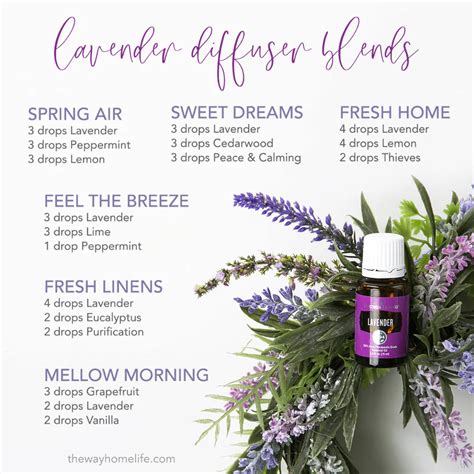Lavender Diffuser Blends In 2021 Lavender Diffuser Lavender