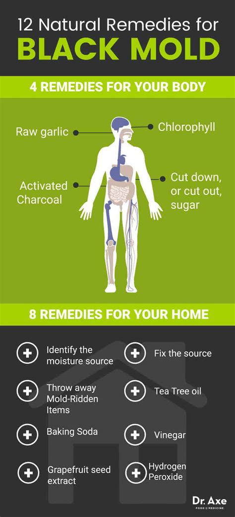 May 27, 2021 · black fungus exclusive: Black Mold Symptoms + 12 Natural Remedies - The New Agora ...