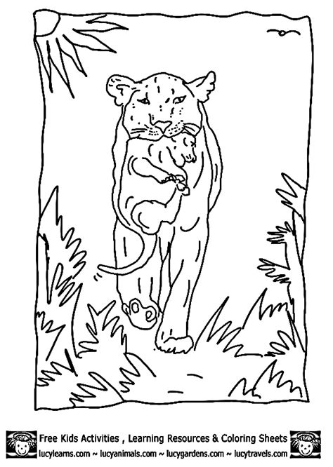 Lion Coloring Sheets Of Lioness With Cub Bycub Lion Coloring Pages By