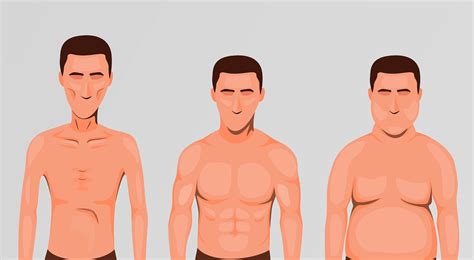 Los 3 tipos de cuerpo que existen y sus características ectomorfo